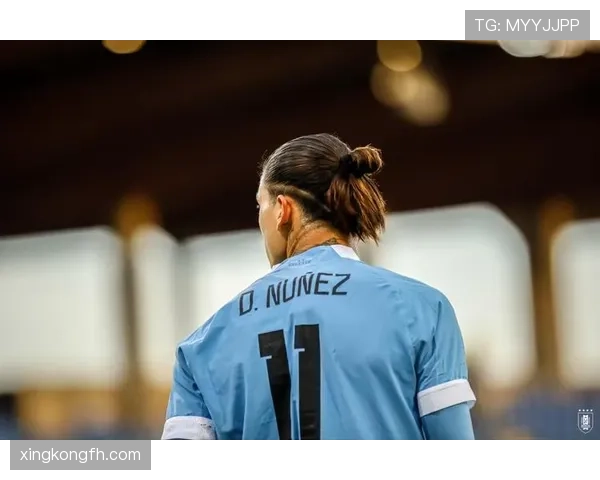 努涅斯国家队表现稳定性与效率分析