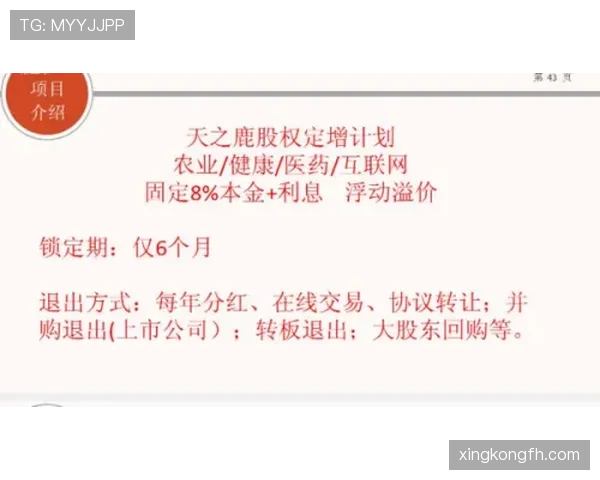 穆西亚拉被高估了吗？从价值兑现与预期匹配度看其真实水平