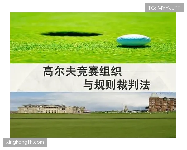 裁判职责详解:足球比赛中判罚与管理规则的核心要求 裁判职责详解:足球比赛中判罚与管理规则的核心要求