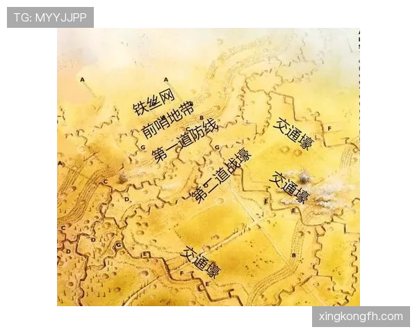 赖斯与托马斯中场战术角色及体系结构对比分析 赖斯与托马斯中场战术角色及体系结构对比分析